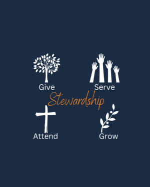 Stewardship