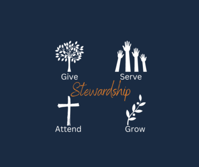 Stewardship