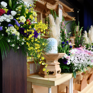 CELEBRATION OF LIFE